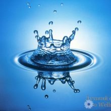 Уникальные свойства воды — источника жизни